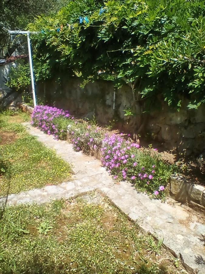 Apartman-Maja-Krk Krk Town Exteriér fotografie